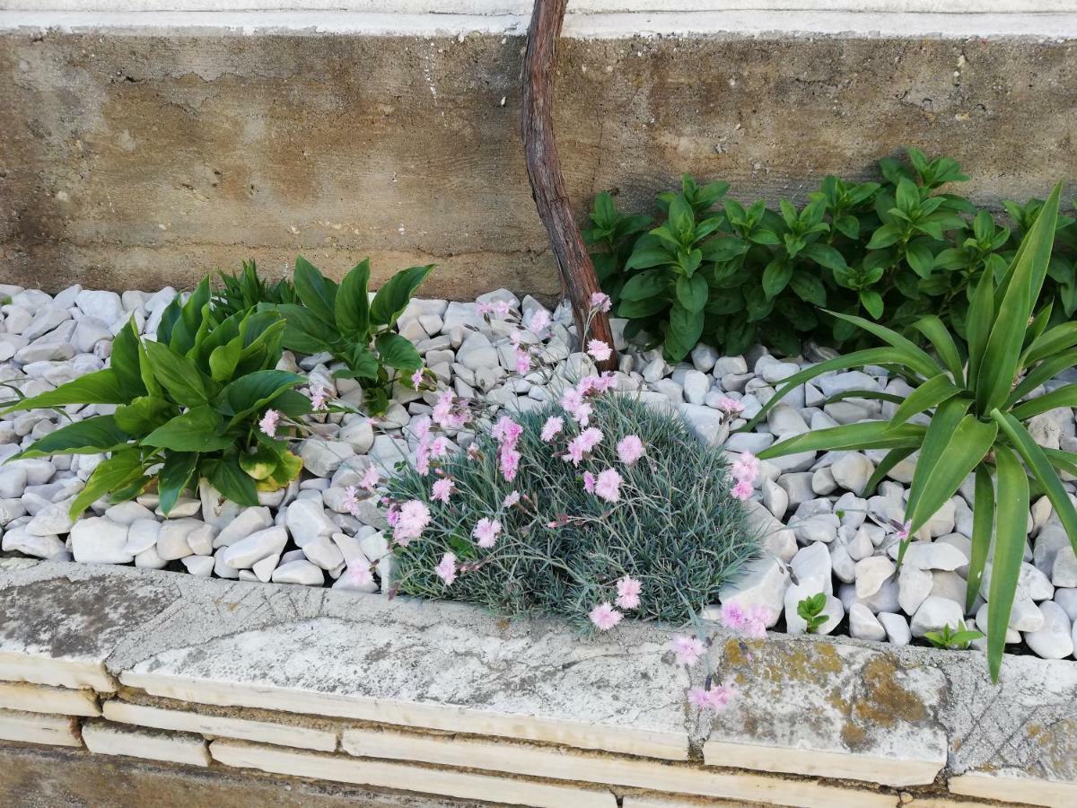 Apartman 2 Zadar Bagian luar foto